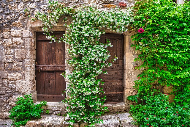 house, door lock, home security, home lock, apartment, condominium