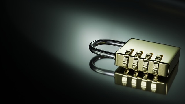 house, door lock, home security, home lock, apartment, condominium