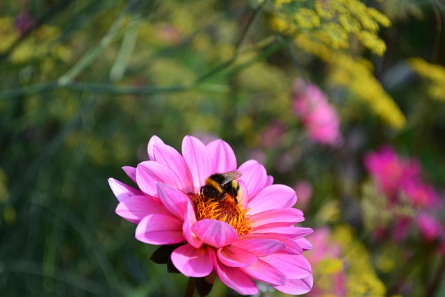 landscaping-640x480-61077975.jpeg