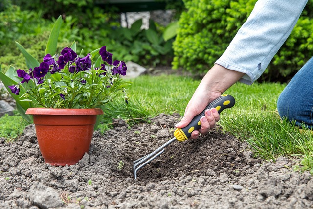 landscaping-backyard-garden-640x480-88211131.jpeg