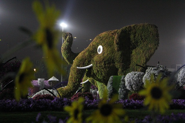 landscaping, garden