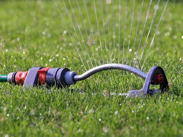 lawn