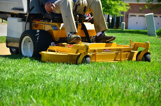 lawn