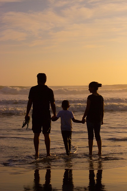 lawyer, family, asset, inheritance