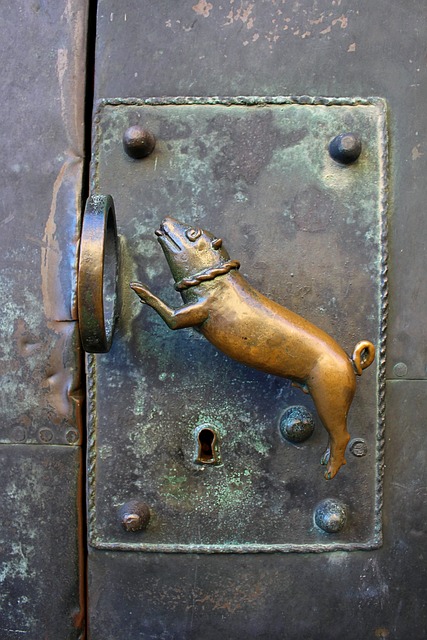 metal door, metal gate, metal windows, metal fixtures
