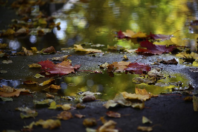 pond, outdoor pond, outdoor waterfall