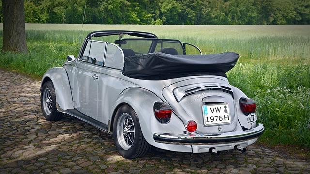 powderpost-beetle-beetle-640x480-28804672.jpeg