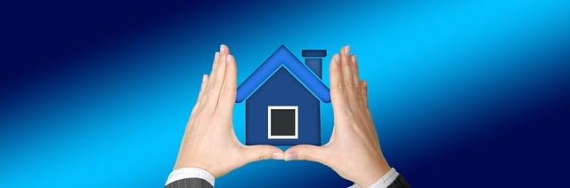 property, asset