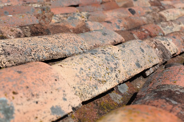 Securing Peace of Mind: Long-Term Warranties for Commercial Tile Roofing Services
