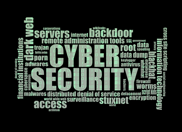 Securing Nobles’ Heritage: Tailored Protocols for Cultural Safety