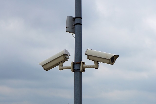 security, surveillance, home security, physical security