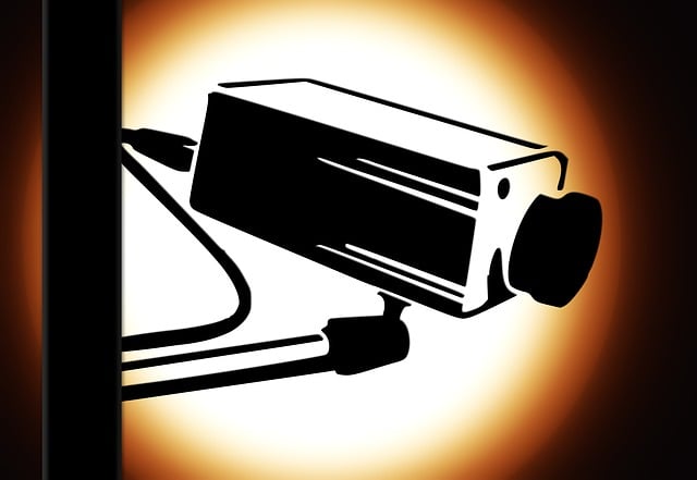 security, surveillance, home security, physical security