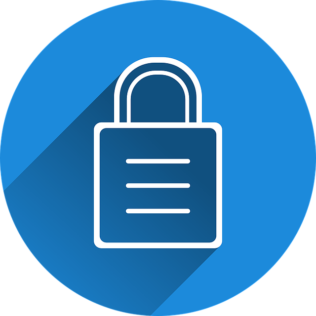 security, surveillance, home security, physical security