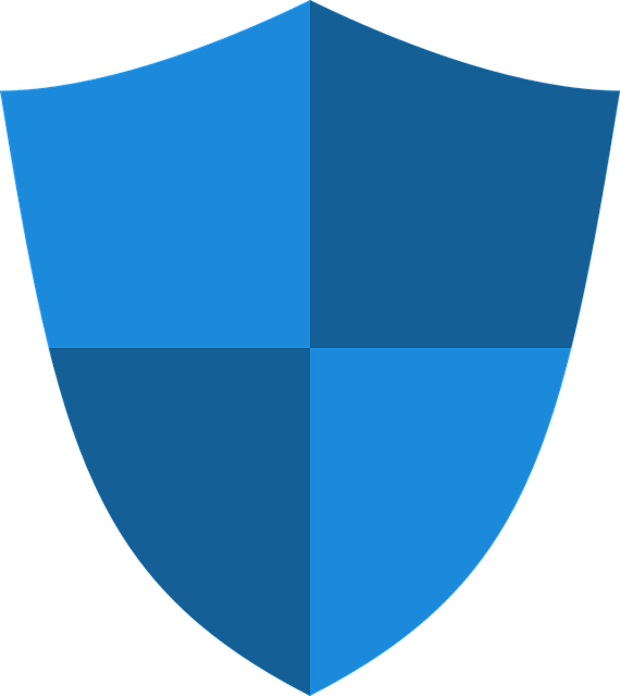 security, surveillance, home security, physical security