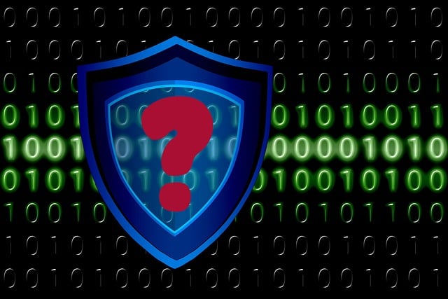 security, surveillance, home security, physical security