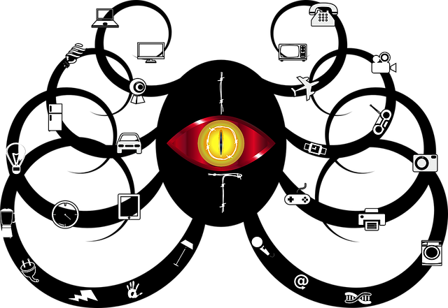 surveillance