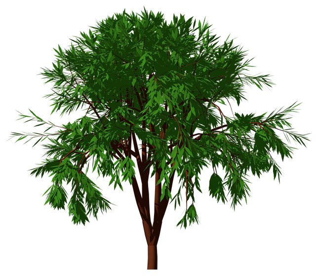 tree, shrub