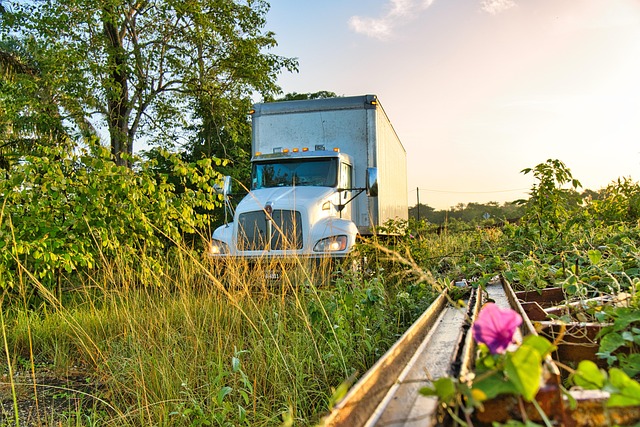 truck, trucking