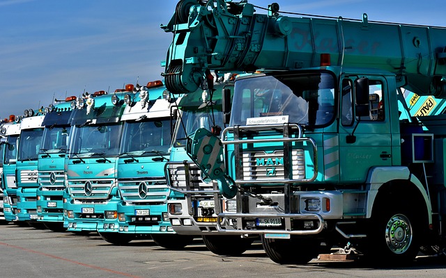 truck, trucking, fleet truck