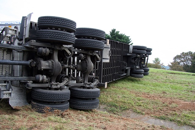 truck, trucking, large truck