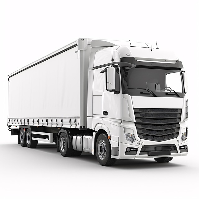 truck, trucking, truck driver