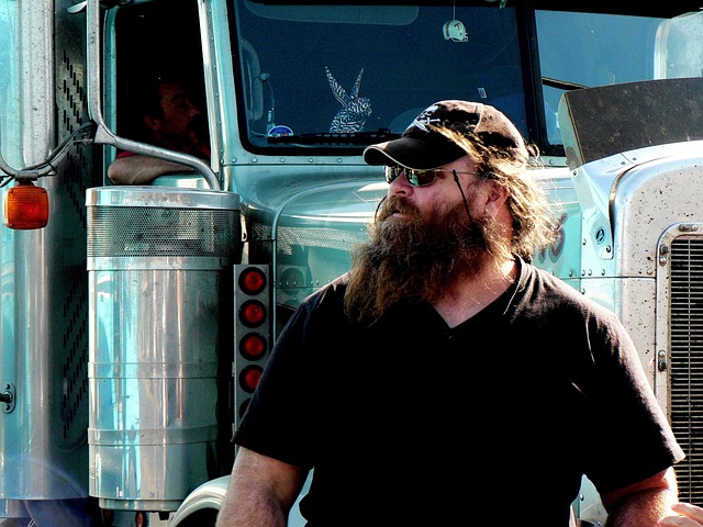 truck, trucking, truck driver
