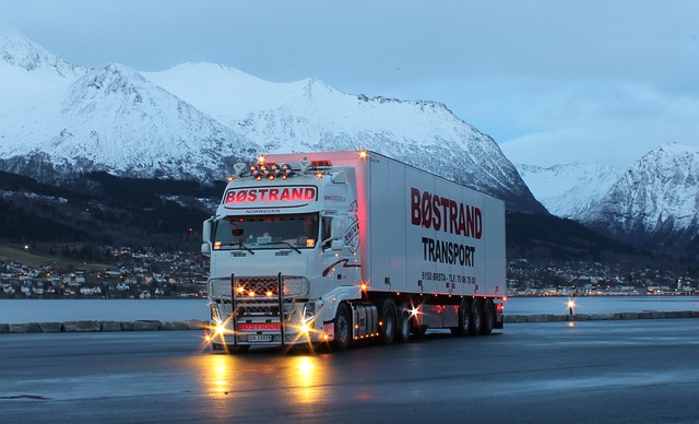 truck, trucking, truck driver