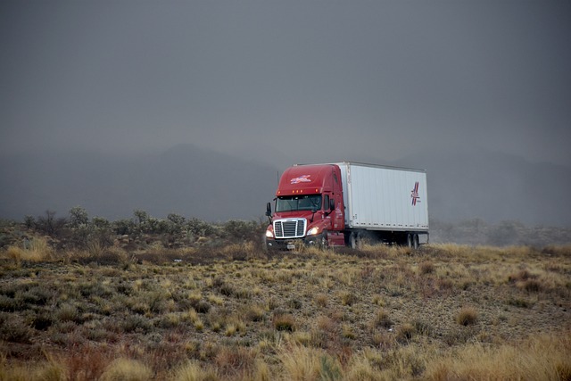 truck, trucking, truck driver