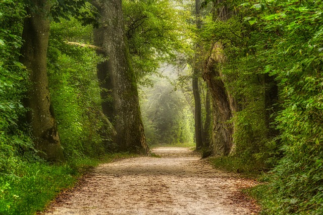 walkway, pathway