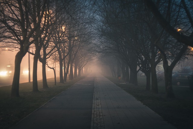 walkway, pathway