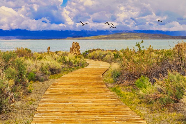 walkway, pathway