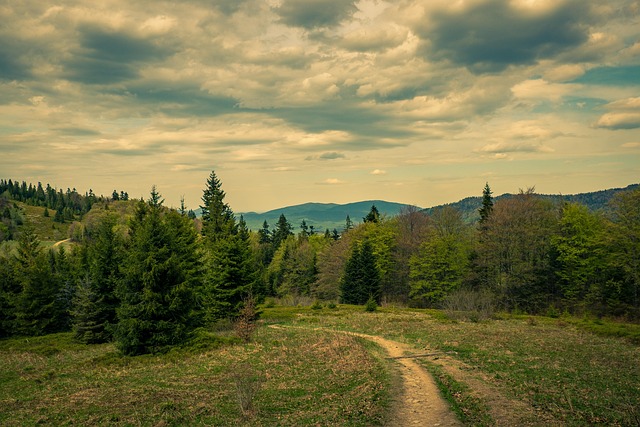 walkway, pathway
