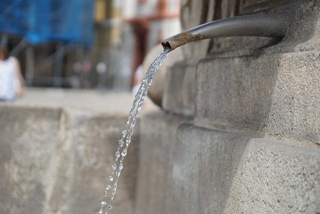 water feature, landscaping