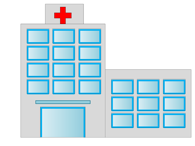 wellness center, clinic, hospital, therapy center, therapy
