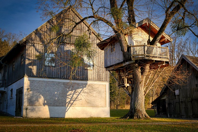 yard, landscaping