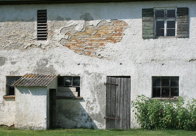 yard, landscaping