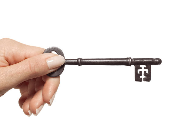 access control, smart lock, keyless door lock