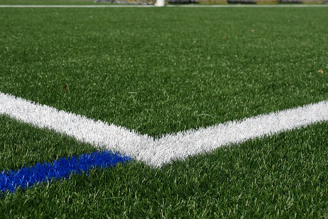 artificial-grass-turf-640x480-74086699.jpeg
