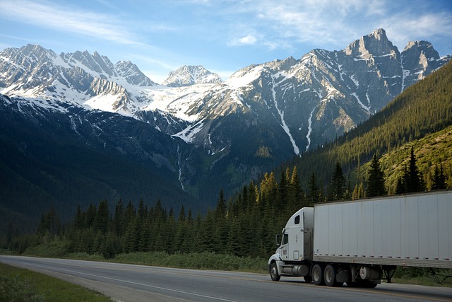 box truck, truck, trucking