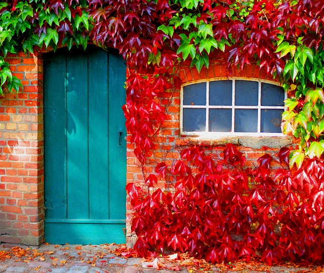 door, door lock, door access