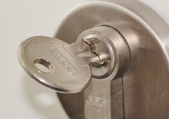 door, door lock, door access