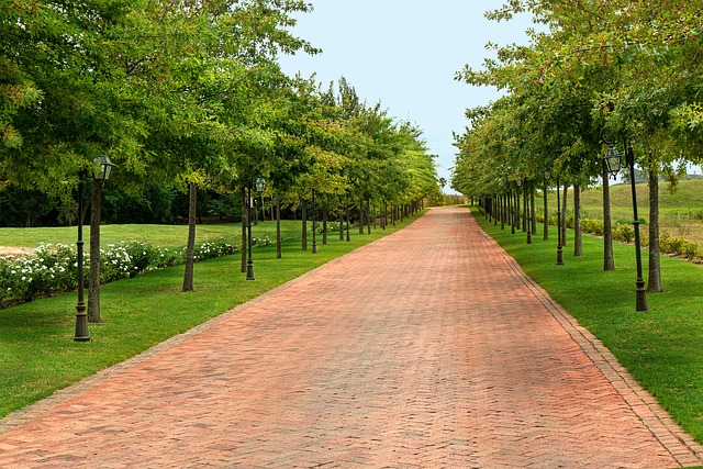 Choosing and Maintaining Low-Maintenance Driveways: A Cost and Longevity Guide