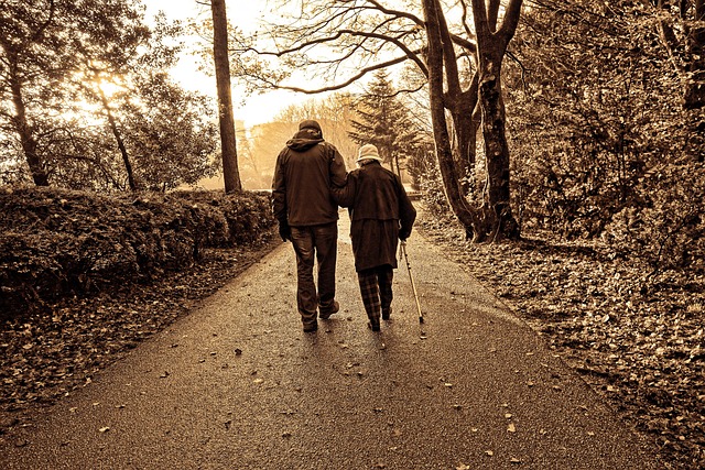 Navigating Later Life with Confidence: A Focus on Elderly Companion Services