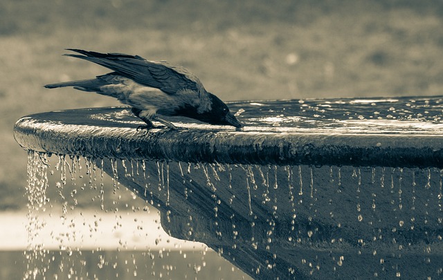 fountain, outdoor fountain