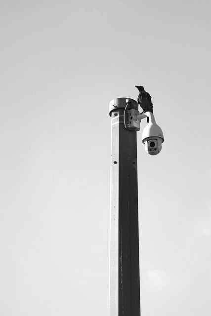 home security, cctv, surveillance