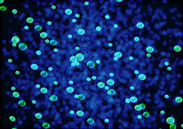 Regenerative Imaging: Revolutionizing Diagnostic Accuracy in Cellular and Body Scans