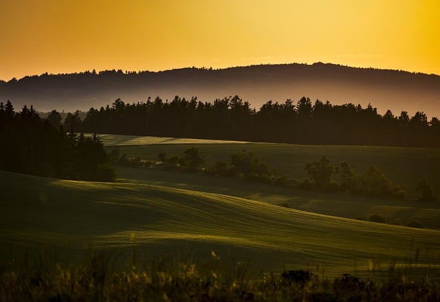 landscape