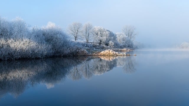 landscape, landscaping