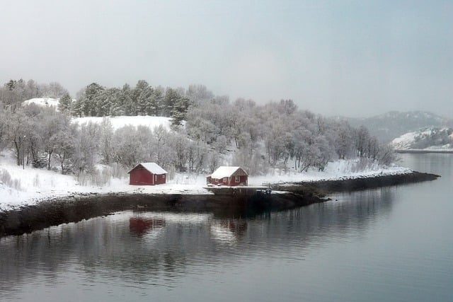landscape, landscaping