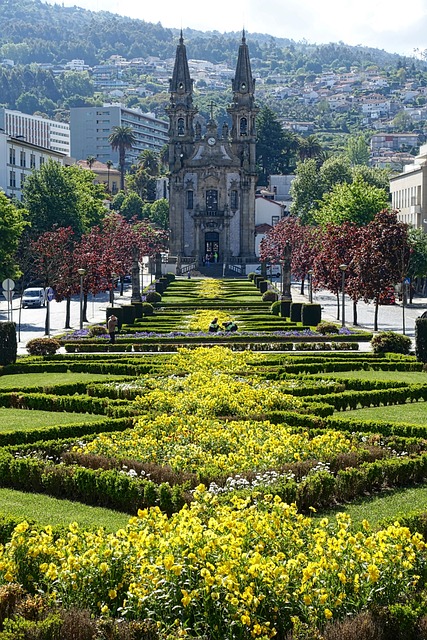 landscape, landscaping